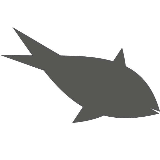 fischundvogel
